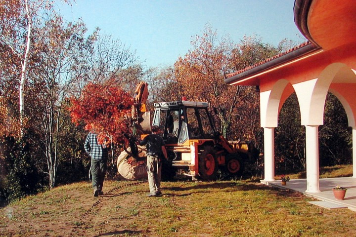 MANUTENZIONE GIARDINI BIELLA