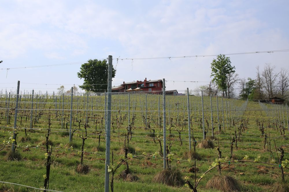 la prevostura socità agricol