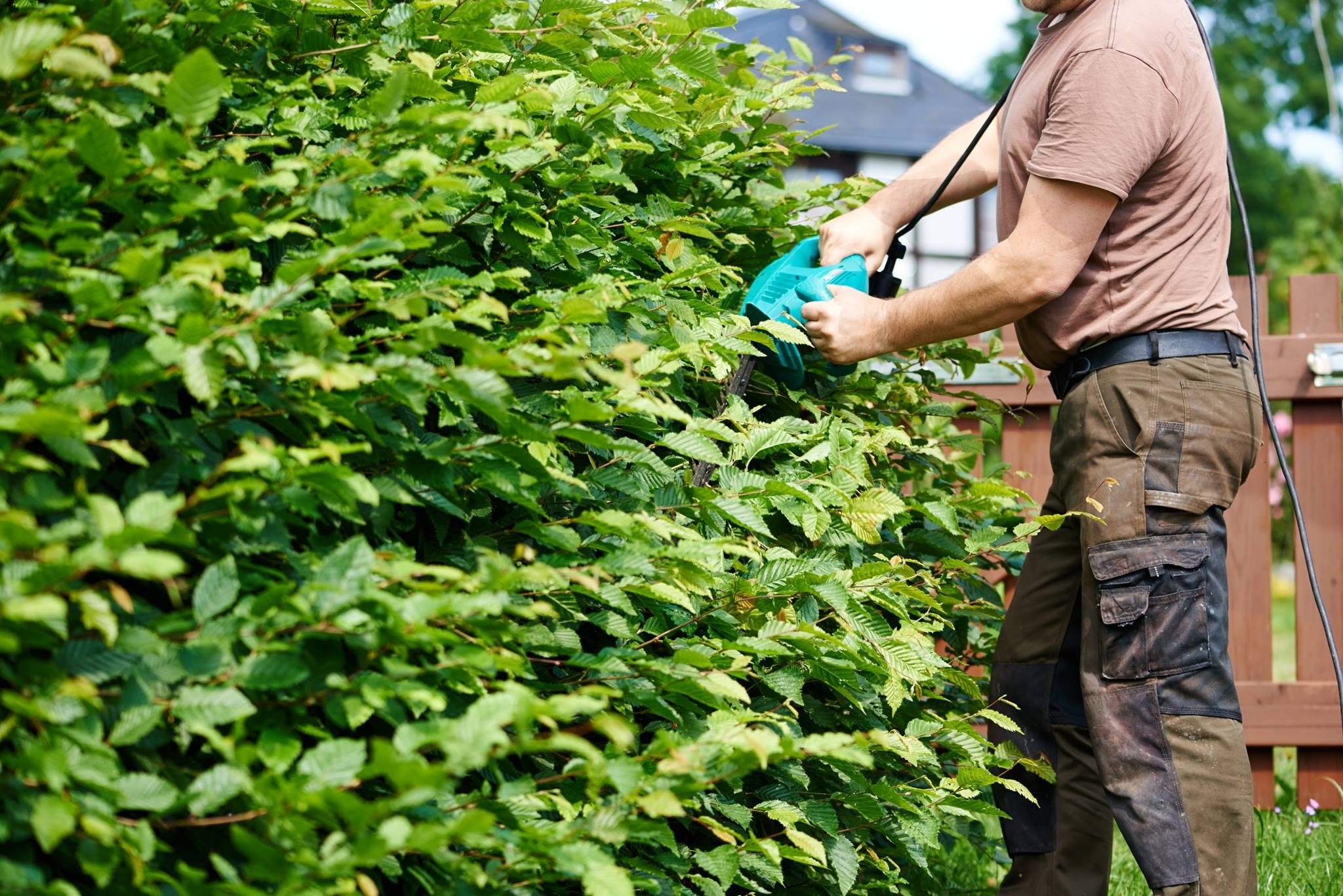 I MIGLIORI SERVIZI PER LA CURA DEL VERDE