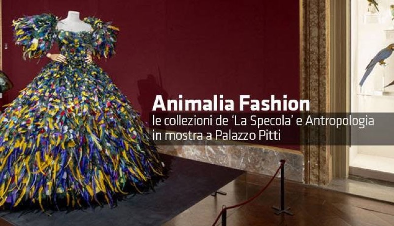 FIRENZE: ANIMALIA FASHION - LA MOSTRA CHE ESALTA LA NATURA | Il Cerca Artigiano di Qualità