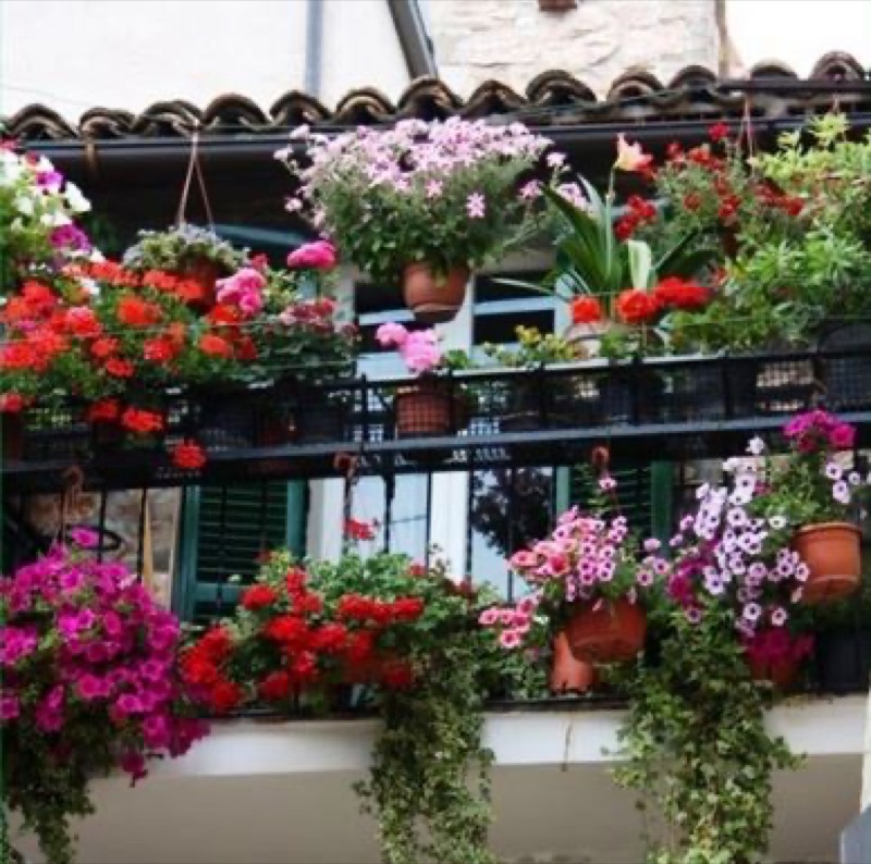 BIELLA : CONCORSO BALCONI FIORITI 2014 | Il Cerca Artigiano di Qualità