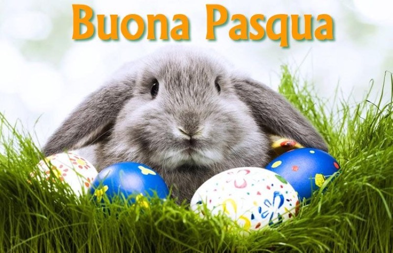 BUONA PASQUA! | Il Cerca Artigiano di Qualità