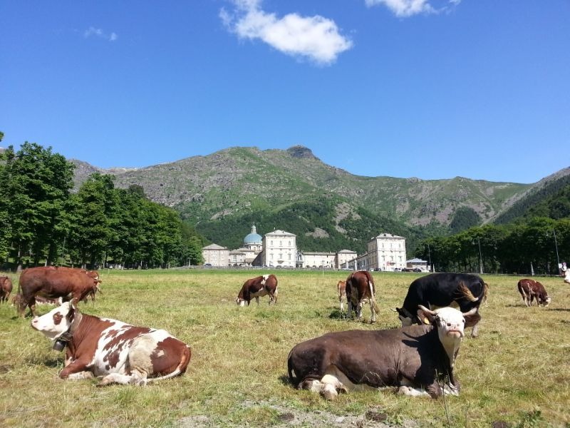 FIERA DI SAN BARTOLOMEO - OROPA 09 E 10 SETTEMBRE  | Il Cerca Artigiano di Qualità