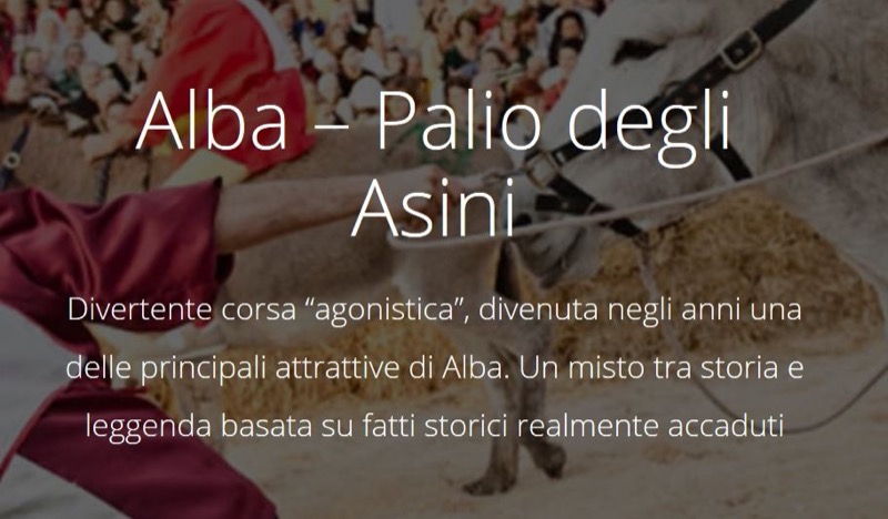 ALBA  - DOMENICA 01 OTTOBRE - PALIO DEGLI ASINI  | Il Cerca Artigiano di Qualità