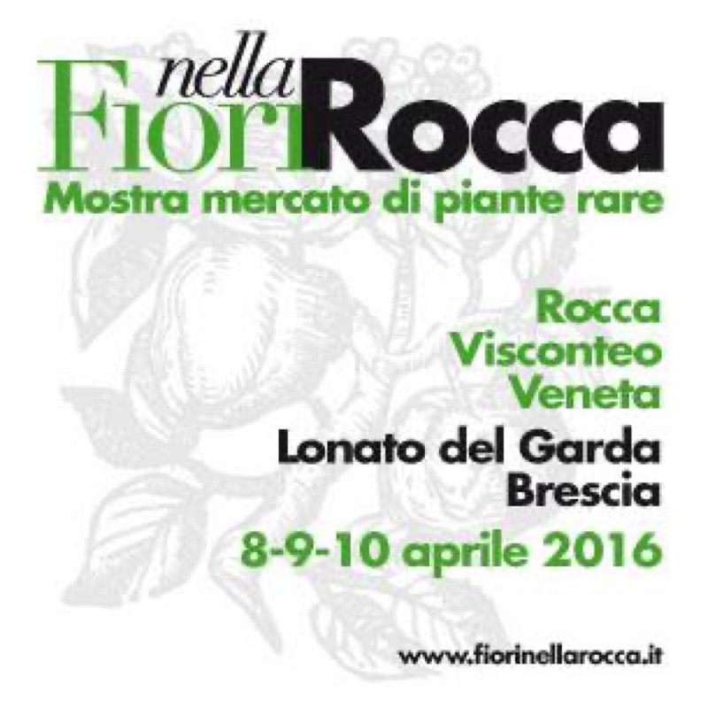 FIORI NELLA ROCCA DA VENERDI' 08 A DOMENICA 10 APRILE A LONATO DEL GARDA (BS) | Il Cerca Artigiano di Qualità