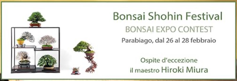 BONSAI SHOHIN FESTIVAL - PARABIAGO (MI) | Il Cerca Artigiano di Qualità