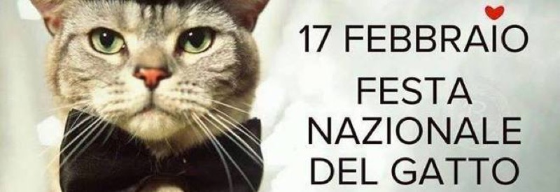 VENERDI' 17 FEBBRAIO SARA' LA FESTA NAZIONALE DEL GATTO | Il Cerca Artigiano di Qualità