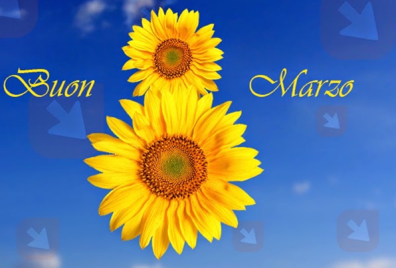 GIORNATA INTERNAZIONALE DELLA DONNA MARTEDI' 08 MARZO | Il Cerca Artigiano di Qualità