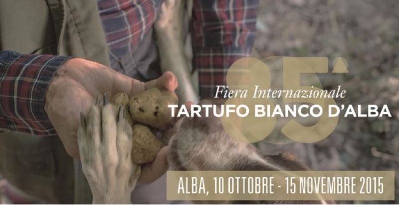 ALBA - FIERA INTERNAZIONALE DEL TARTUFO BIANCO | Il Cerca Artigiano di Qualità