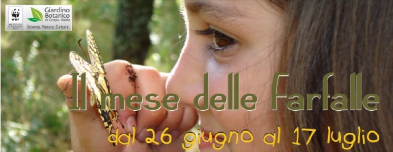IL MESE DELLE FARFALLE AL GIARDINO BOTANICO DI OROPA | Il Cerca Artigiano di Qualità