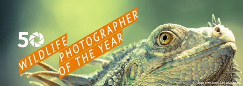 FORTE DI BARD (AOSTA) - DAL 07 FEBBRAIO WILDLIFE PHOTOGRAPHER OF THE YEAR | Il Cerca Artigiano di Qualità