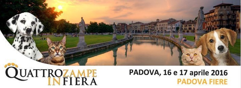 QUATTRO ZAMPE IN FIERA: APPUNTAMENTO A PADOVA CON CANI E GATTI DA TUTTO IL MONDO | Il Cerca Artigiano di Qualità