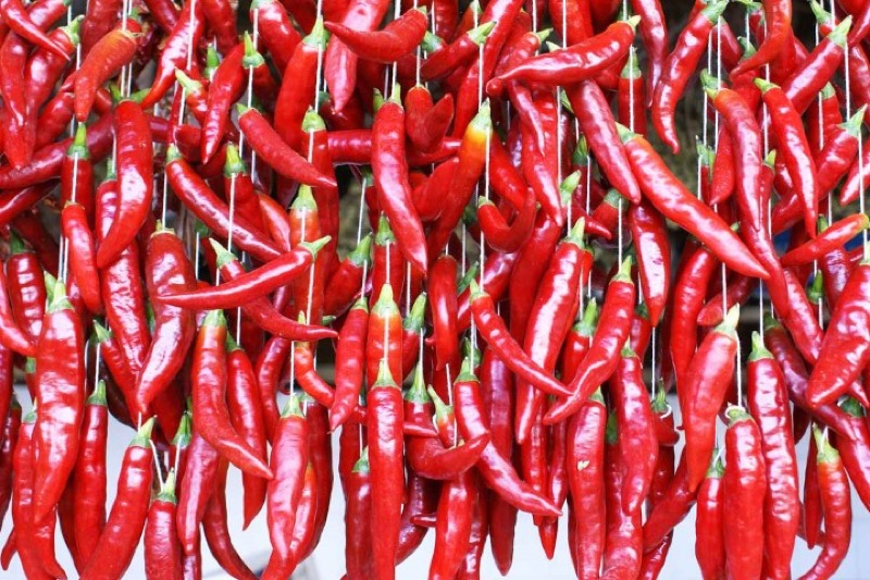 GUSTA IL PICCANTE ALLA FESTA DEI PEPERONCINI AL FLOVER DI BUSSOLENGO | Il Cerca Artigiano di Qualità