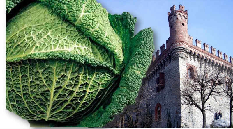 SAGRA DEL CAVOLO VERZA DAL 18 AL 22 NOVEMBRE 2015 A MONTALTO DORA | Il Cerca Artigiano di Qualità