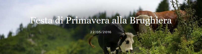 FESTA DI PRIMAVERA ALL'OASI ZEGNA DOMENICA 22 MAGGIO | Il Cerca Artigiano di Qualità