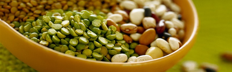 LUNEDI' 23 MARZO CLUSTER EXPO MILANO 2015: FRUTTA E LEGUMI | Il Cerca Artigiano di Qualità