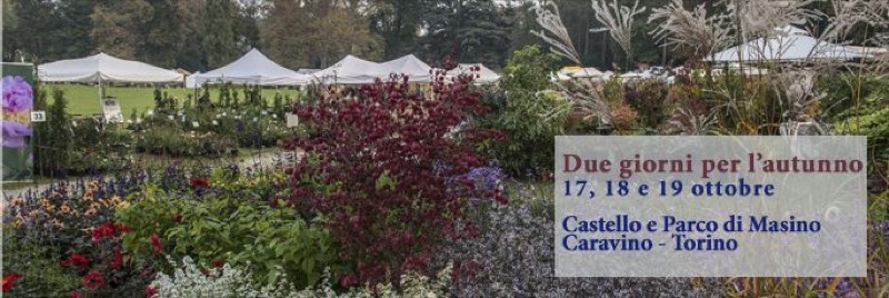 DUE GIORNI PER L'AUTUNNO AL CASTELLO DI MASINO - CARAVINO (TO) | Il Cerca Artigiano di Qualità