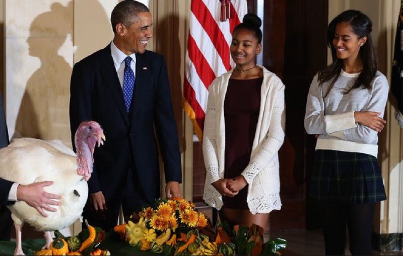 COS'E' IL GIORNO DEL RINGRAZIAMENTO CHE GLI AMERICANI FESTEGGIANO OGGI? | Il Cerca Artigiano di Qualità