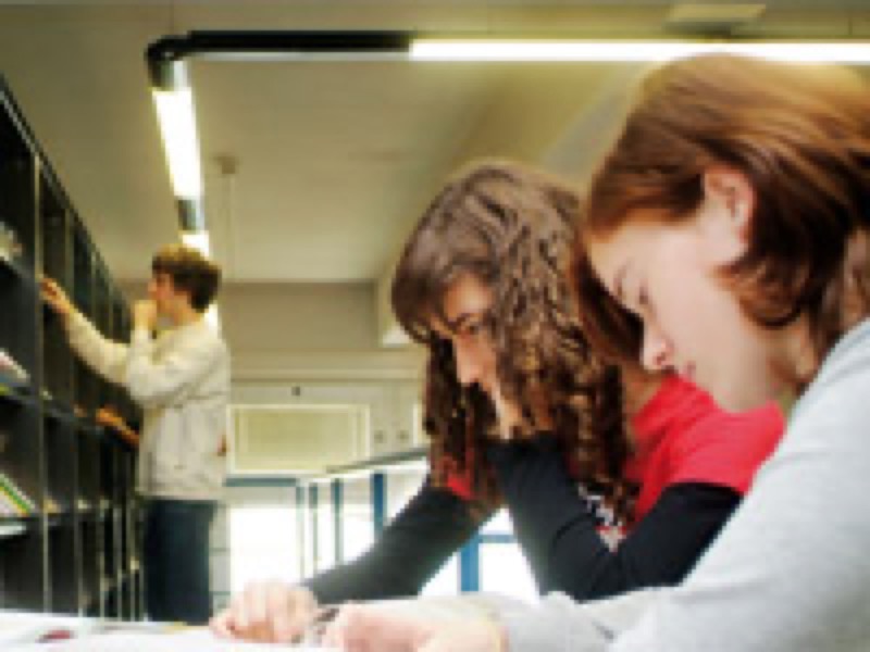 PROVINCIA DI BIELLA REGIONE PIEMONTE  MESTIERI-LAVORO UN '  OPPORTUNITA'  PER I GIOVANI  | Il Cerca Artigiano di Qualità