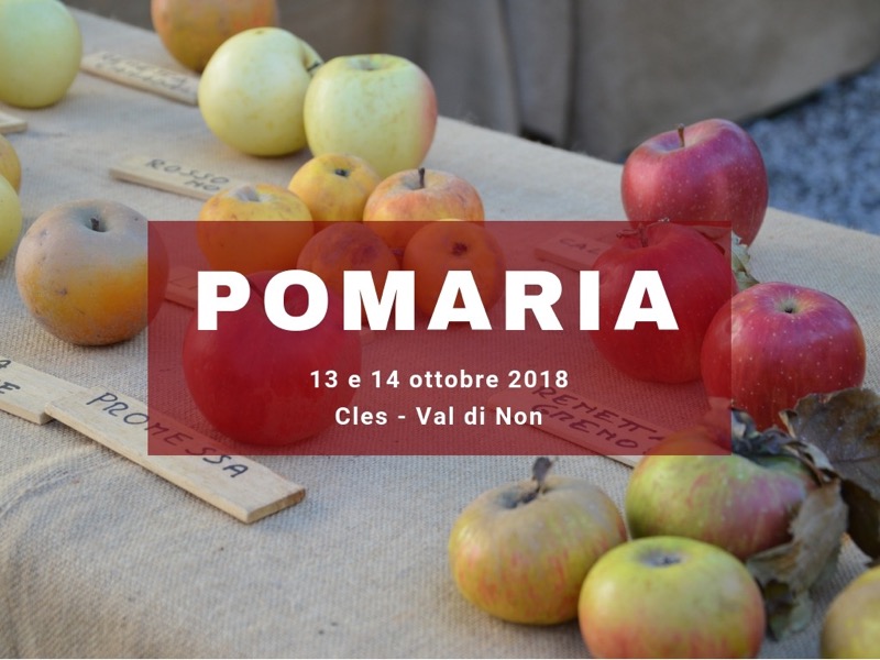 POMARIA: FESTA DELLE MELE IN TRENTINO 13 - 14 OTTOBRE VAL DI NON  | Il Cerca Artigiano di Qualità