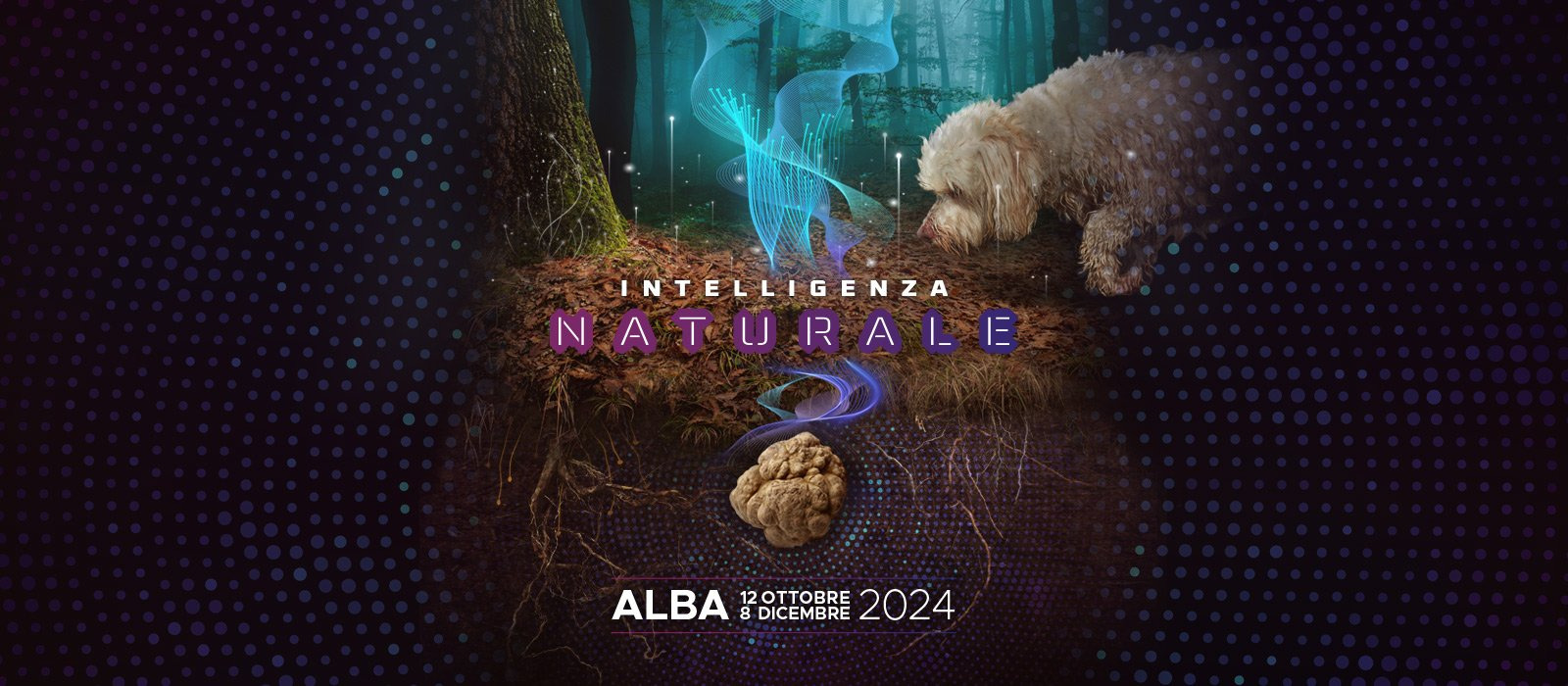 ALBA - FIERA INTERNAZIONALE DEL TARTUFO 2024 | Il Cerca Artigiano di Qualità