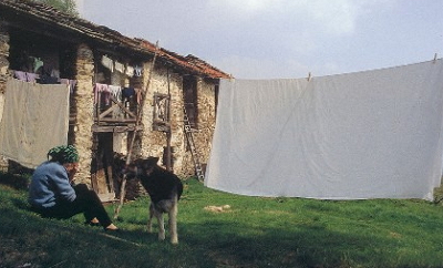 REGIONE PIEMONTE CONTRIBUTI PER LO SVUILUPPO AGRICOLO E RURALE SCADENZA IL 31 DICEMBRE 13