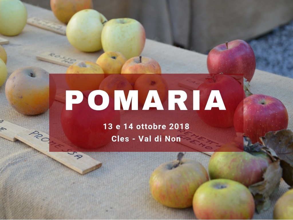 POMARIA: FESTA DELLE MELE IN TRENTINO 13 - 14 OTTOBRE VAL DI NON