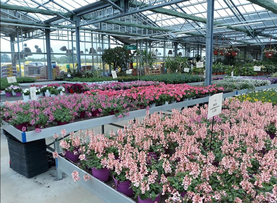 Florama - Servizi per Parchi e Giardini - Vivaio - Garden Center - Macchine e Attrezzi per il Giardinaggio