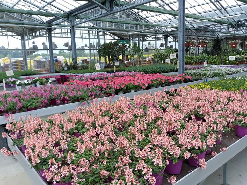 Florama - Servizi per Parchi e Giardini - Vivaio - Garden Center - Macchine e Attrezzi per il Giardinaggio
